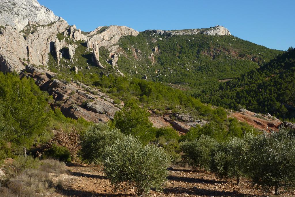 Bed and Breakfast La Ferme Saint-Marc-Jaumegarde Exterior foto